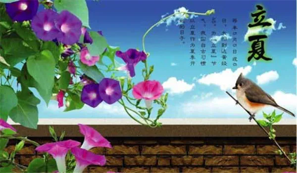 2.webp