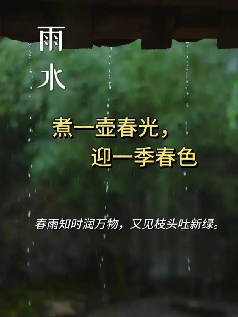 雨水